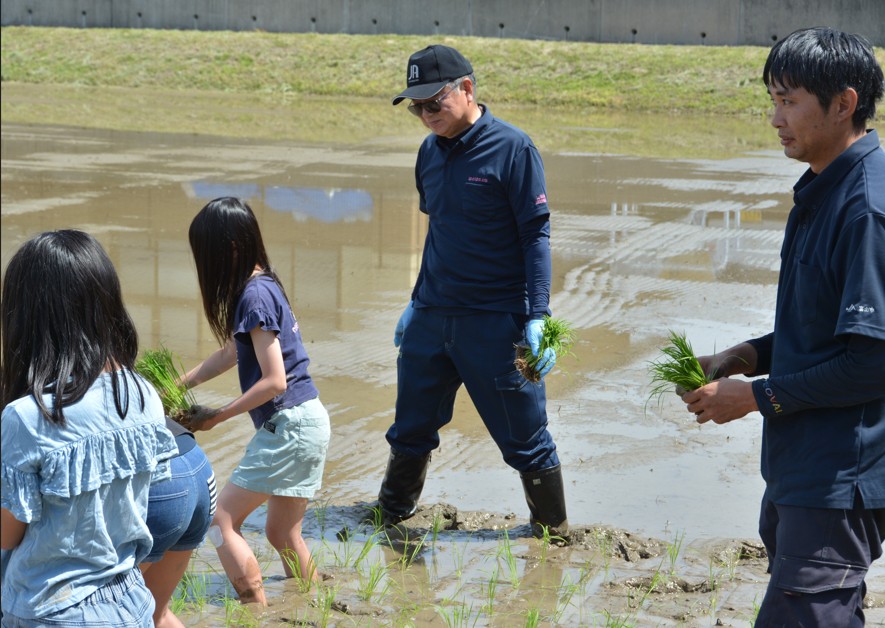 令和8年度 学校田の田植え