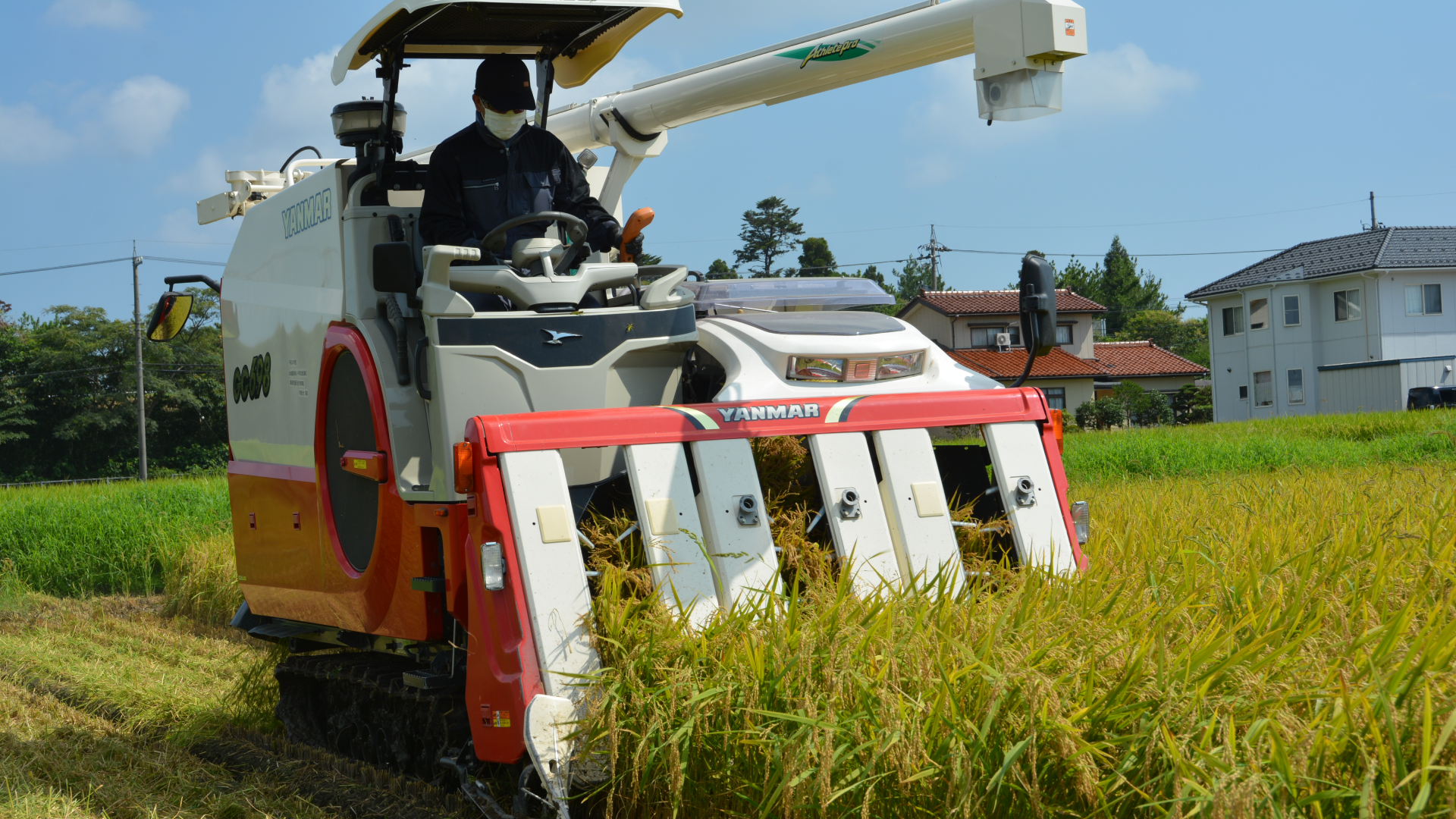 自動スクロール画像