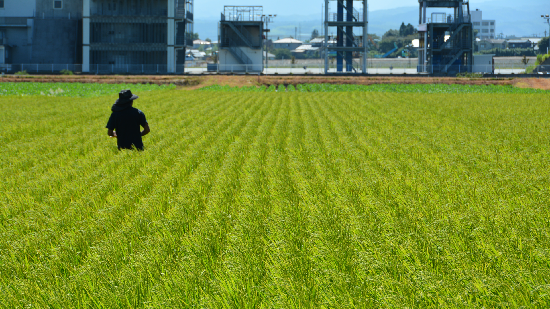 自動スクロール画像